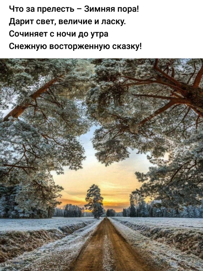 Новый год к нам мчится, скоро всё случится...) Новый год к нам мчится, скоро всё случится...)