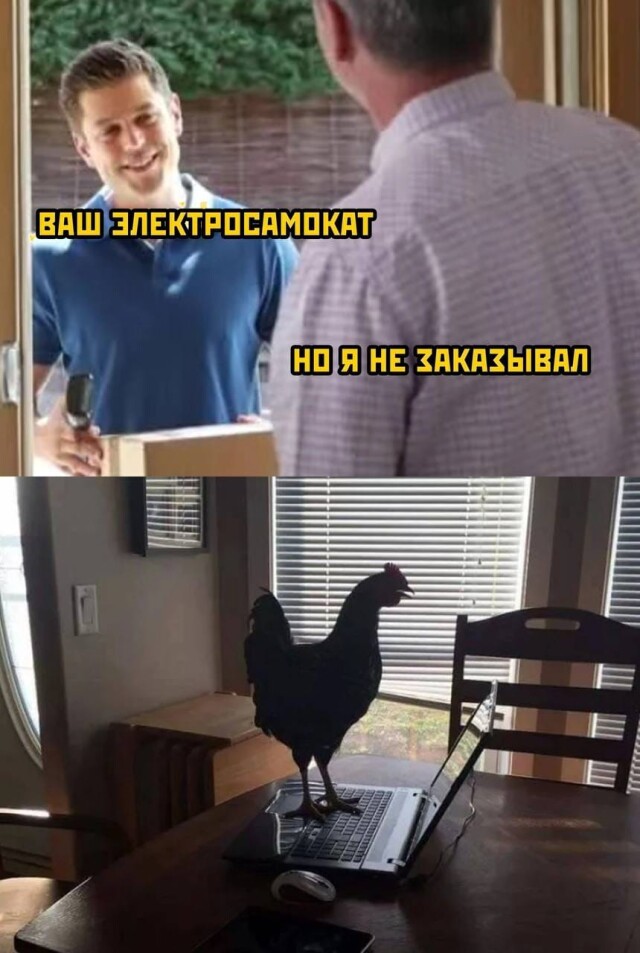 Порция юмора в картинках и фото 