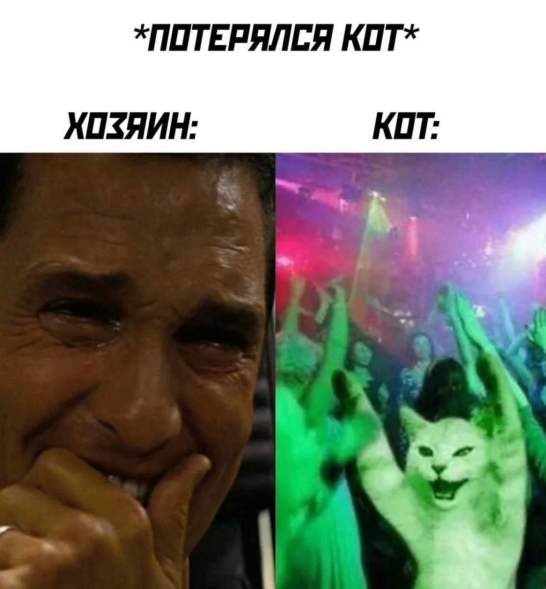 Юмор за день и интересы 