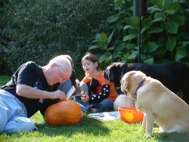 дедушка с собаками