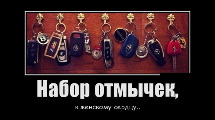 Демотиваторы на любой вкус и три выхода 