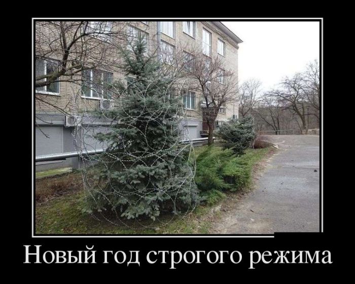 Подборка демотиваторов на сегодня 