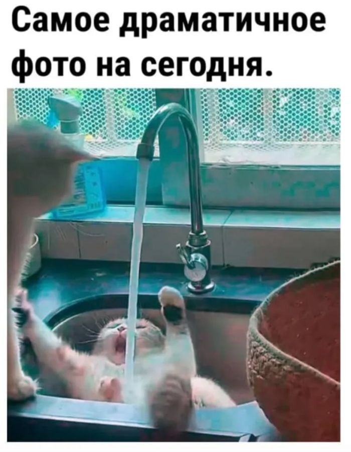 Отдых — это когда устаёшь в красивом новом месте 