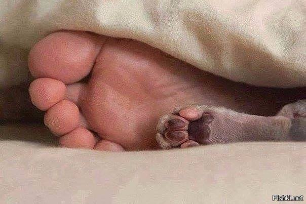 Мои "хотелки"...