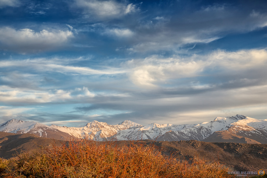 Untitled by Manuel B on 500px.com