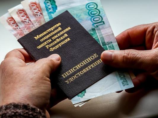 Дмитрий Певцов предложил отменить пенсионную реформу