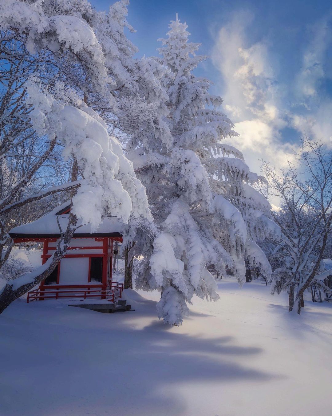 Волшебная японская природа на снимках Макико Самедзимы времена года,тревел-фото,Япония