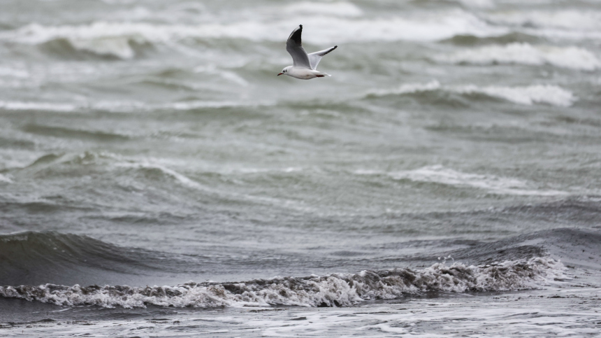 Азовский походы русско-турецкая война петр 1. Выход к азовскому морю. Выход россии к черному морю. Мариуполь котельная. Бассейн азовского моря на карте.