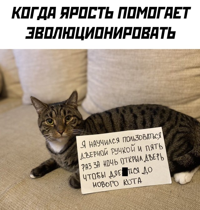 Подборка прикольных картинок  приколы,смешные картинки,юмор