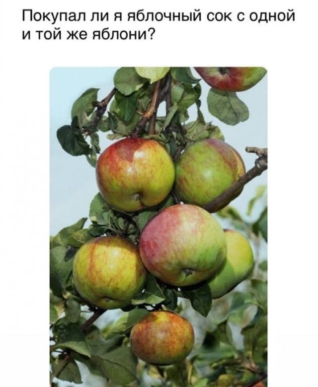 Смелые и забавные философские рассуждения от пользователей Сети Смелые и забавные философские рассуждения от пользователей Сети приколы,смешные картинки,юмор