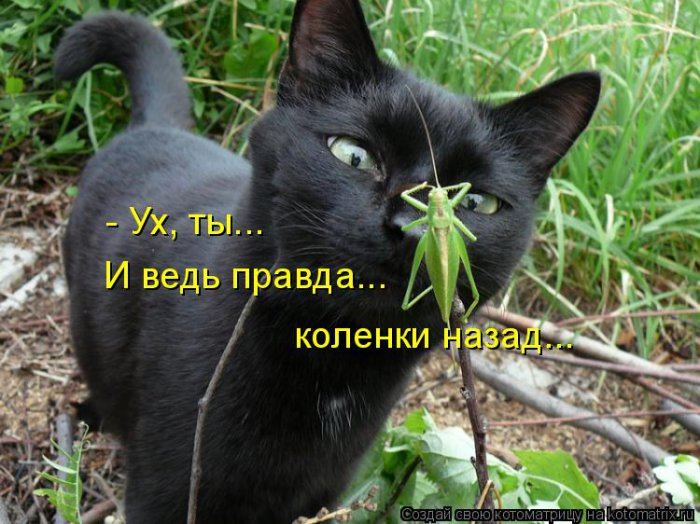 Мысли вслух :)