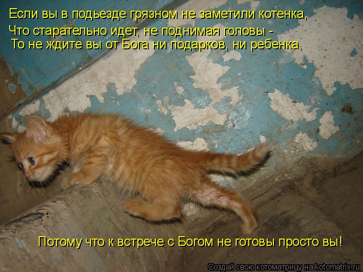 Картинка с надписью не повезет, юбилеем женщине животными