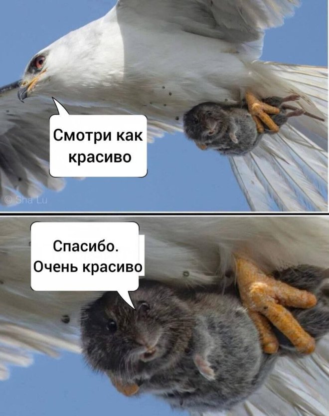 Юмор за день и интересы 