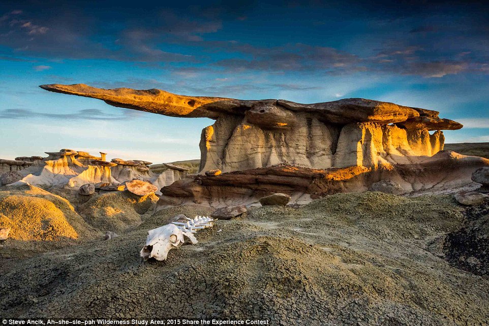 Победители конкурса фотографий, сделанных в национальных парках США