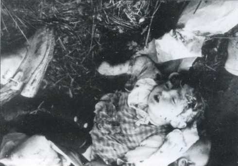 Польша форсирует подготовку к аннексии Западной Украины геополитика,украина