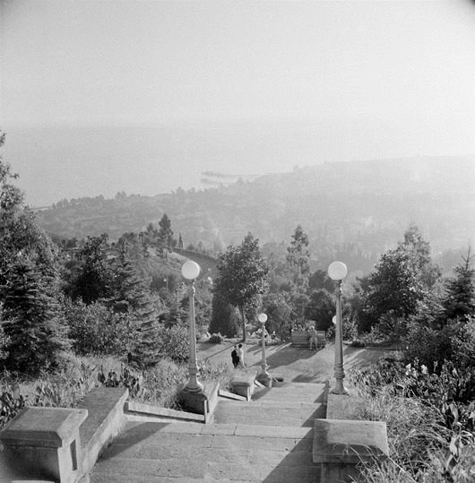 Советский Сухуми 1950-х годов Советский Сухуми 1950-х годов