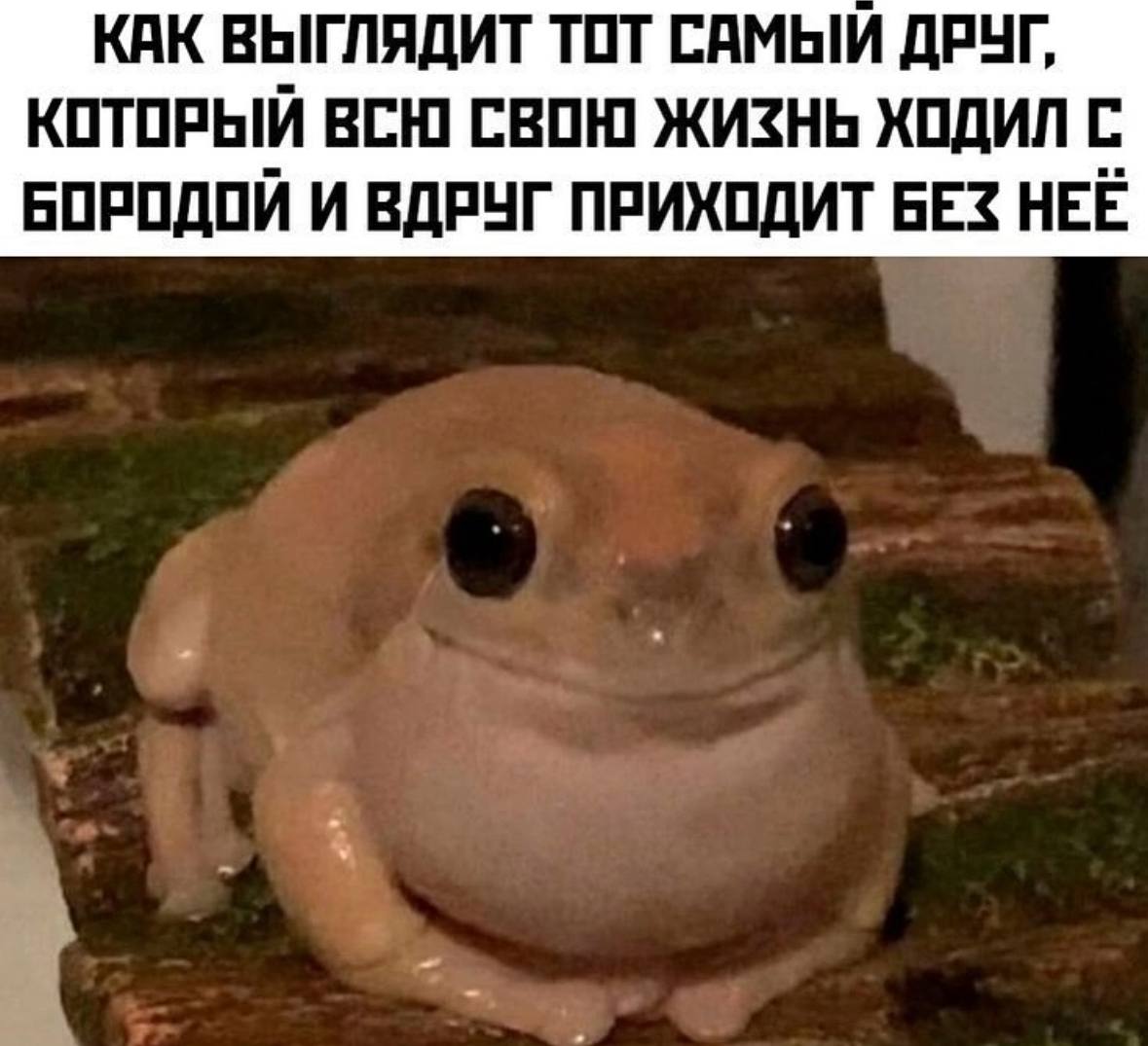 Юмор за день и раздвоение личности 