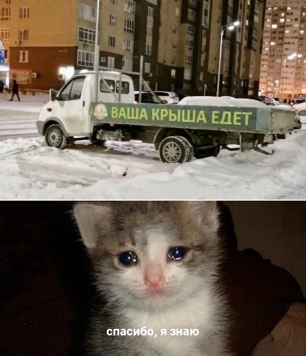 Юмор из интернета 717 позитив,смех,улыбки,юмор