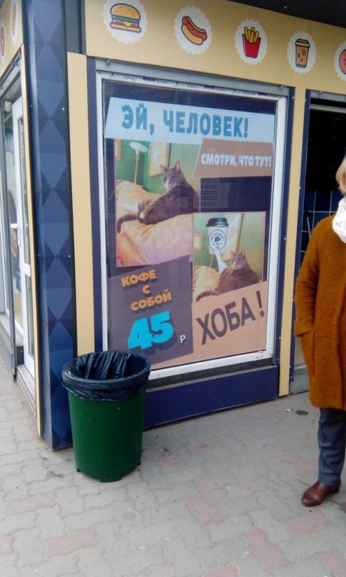 Смешные вывески и реклама (21 фото)