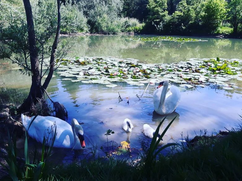 Осторожно! Аромат каждой из этих 20 фотографий вызывает очень сильную ностальгию Осторожно! Аромат каждой из этих 20 фотографий вызывает очень сильную ностальгию жизненное