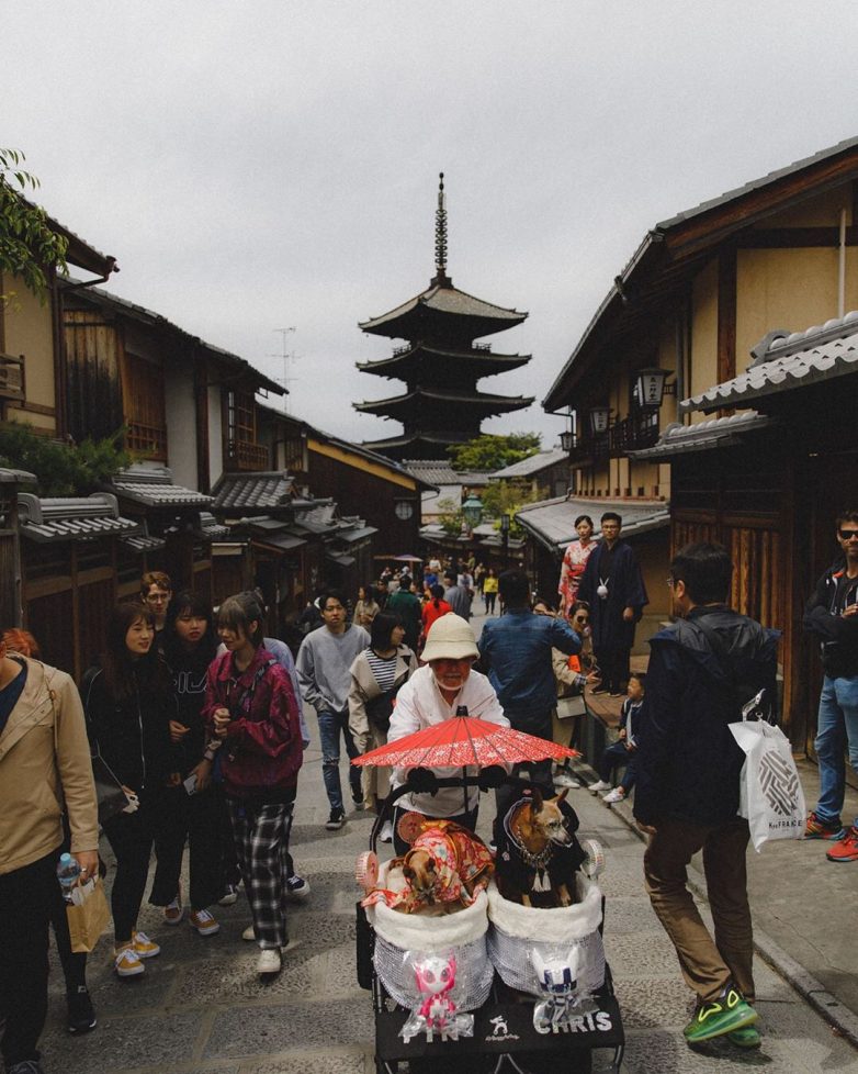 Токио: любовь навсегда! история,путешествие,токио,туризм