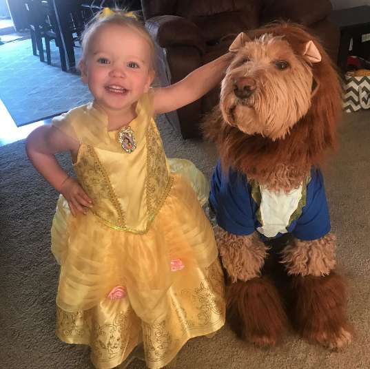 девочка и собака