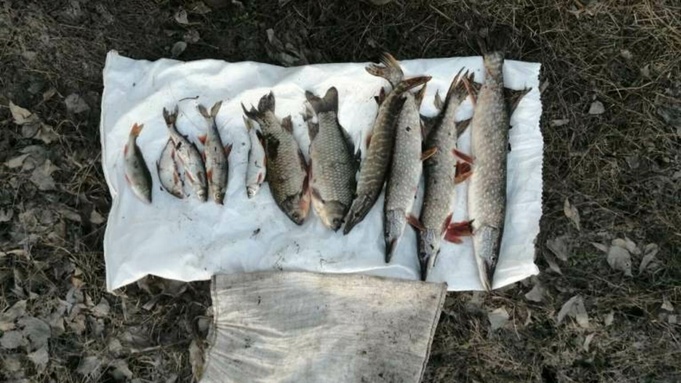 Алтайские полицейские не позволили мужчине рыбку съесть