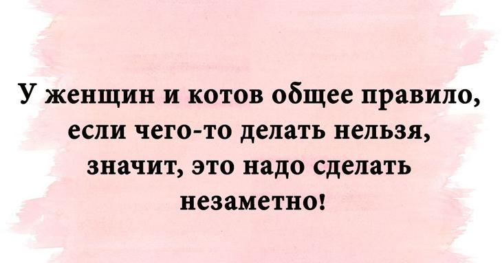 Весёлые и интересные картинки с шутливым сопроводительным текстом 