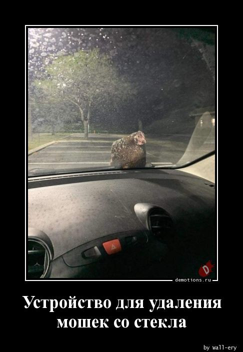 Демотиваторы – приколы: «Контенна» 