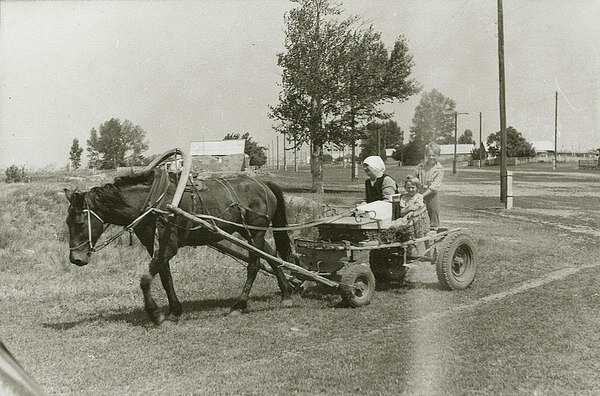 Фото из прошлого Фото из прошлого