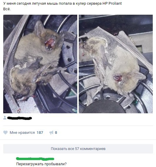 Смешные комментарии из социальных сетей