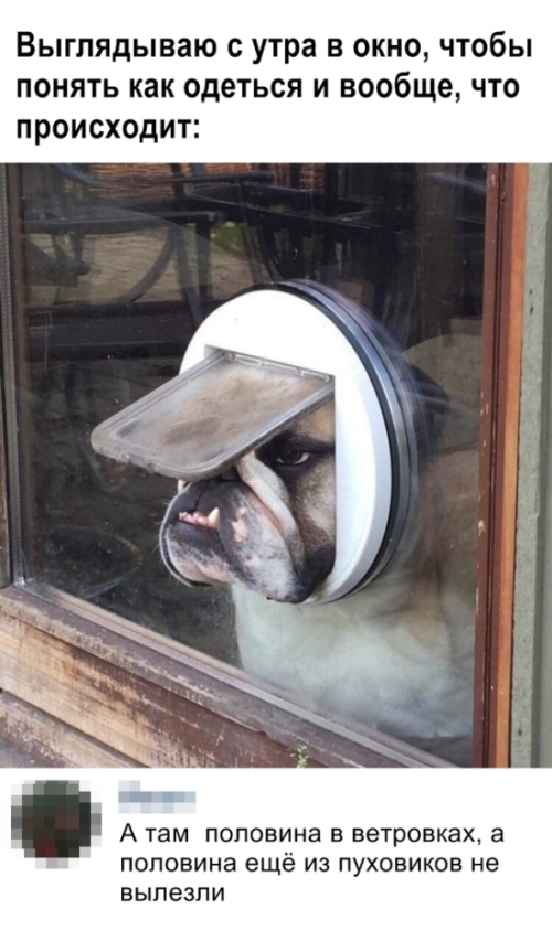 Подборка смешных картинок Подборка смешных картинок смешные картинки