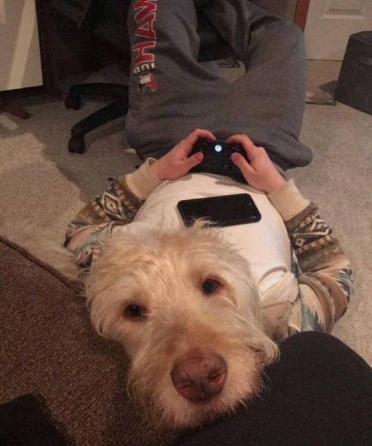 Показалось Показалось смешные картинки