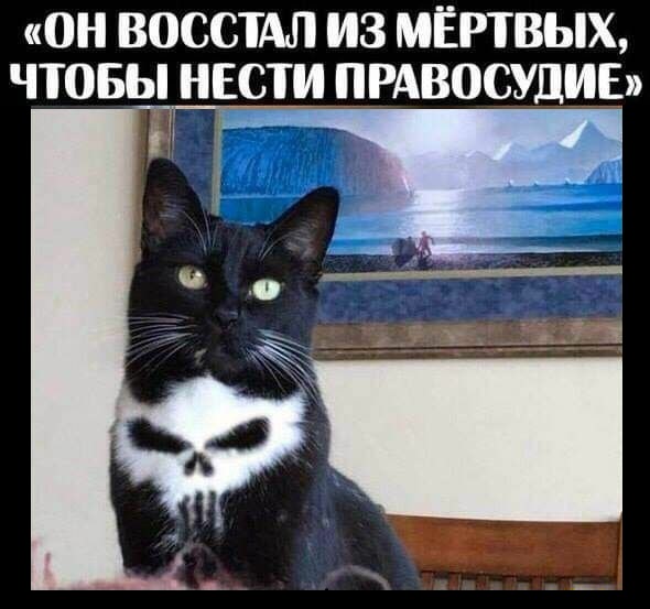 Подборка прикольных картинок. Вечерний выпуск Подборка прикольных картинок. Вечерний выпуск приколы,смешные картинки,юмор