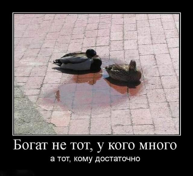 Демотиваторов свежая порция: «Одноразовый эспандер»  