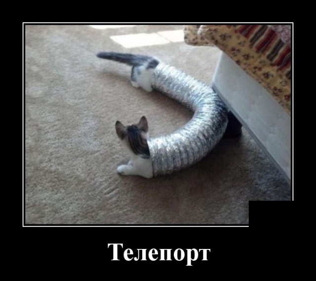 Самые новые демотиваторы Самые новые демотиваторы демотиваторы