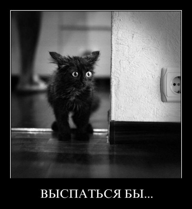 Утро понедельника :)