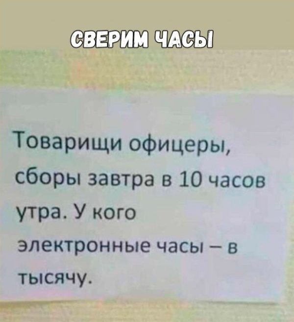 Весёлые моменты 