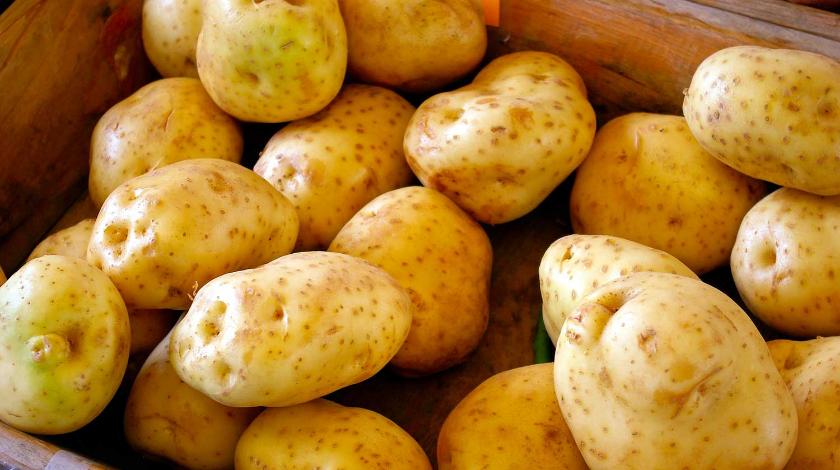 Вкусный и простой рецепт: лепешки из картофеля на сковородке
