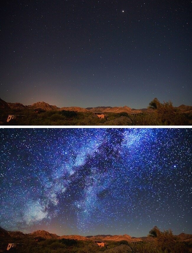 Как выглядит мир глазами животных Как выглядит мир глазами животных животные,интересное,познавательно