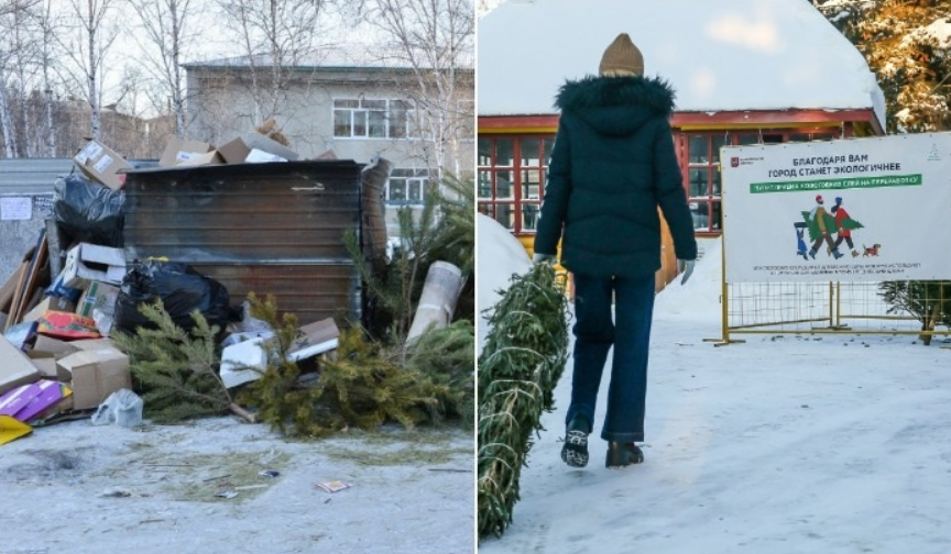 Не в мусорку: 5 вариантов, что делать с новогодней елкой после праздников