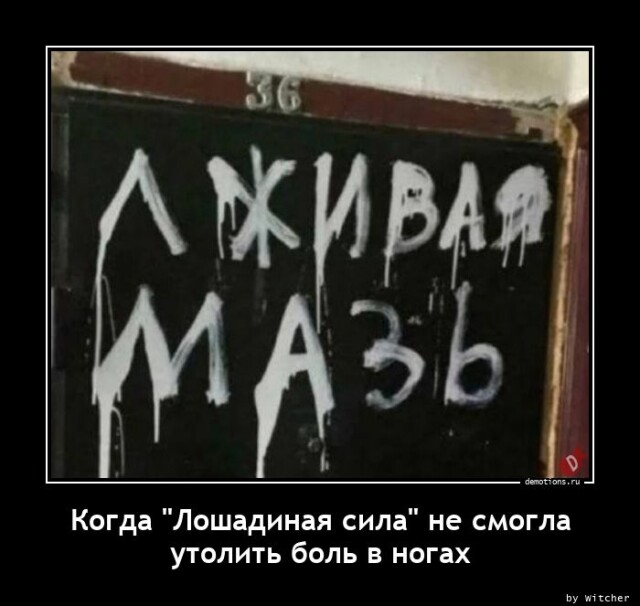 Коллекция демотиваторов на любой вкус! Коллекция демотиваторов на любой вкус!