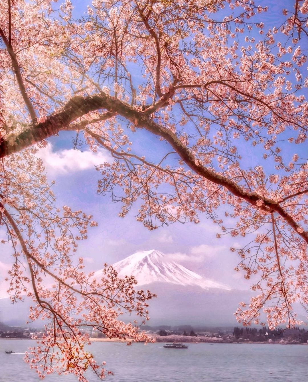 Волшебная японская природа на снимках Макико Самедзимы времена года,тревел-фото,Япония