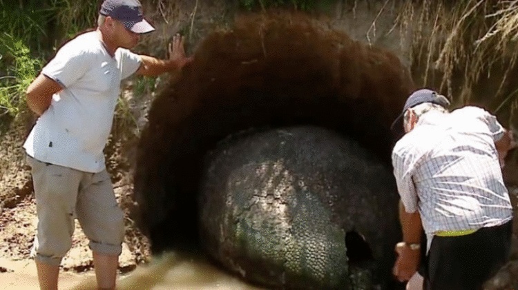 Крестьянин думал, что нашел яйцо динозавра, но находка оказалась не менее потрясающей 
