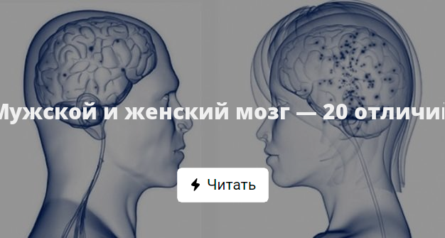 20 мозга. Мозг 20%. Женщина подключается к мозгу мужчины. У женщин мозг меньше чем у мужчин.