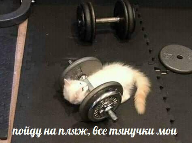 Подборка смешных картинок  позитив,приколы,смешные картинки,юмор