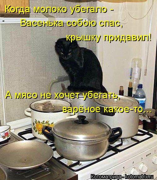 Новая котоматрица на выходные Новая котоматрица на выходные