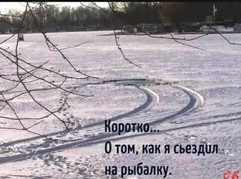 Ну как можно жить по-человечески, если каждый год - какой-нибудь скотины? Ну как можно жить по-человечески, если каждый год - какой-нибудь скотины? анекдоты