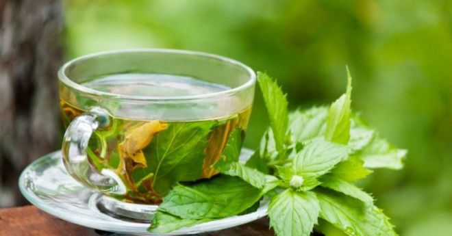 5 душистых и полезных добавок к чаю здоровье и медицина,напитки