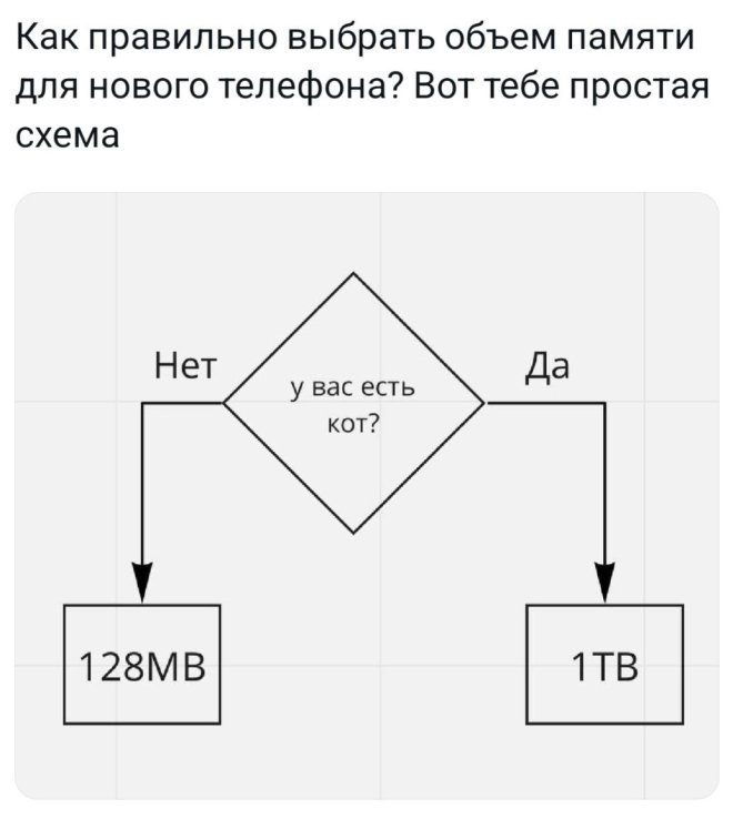 Отдых — это когда устаёшь в красивом новом месте 